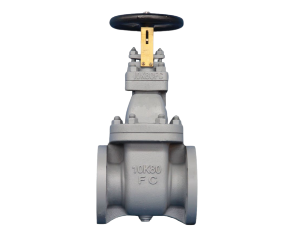 GATE VALVE CAST IRON F7363 JIS 5K