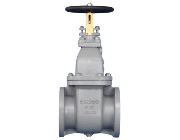 GATE VALVE CAST IRON F7364-JIS 10K