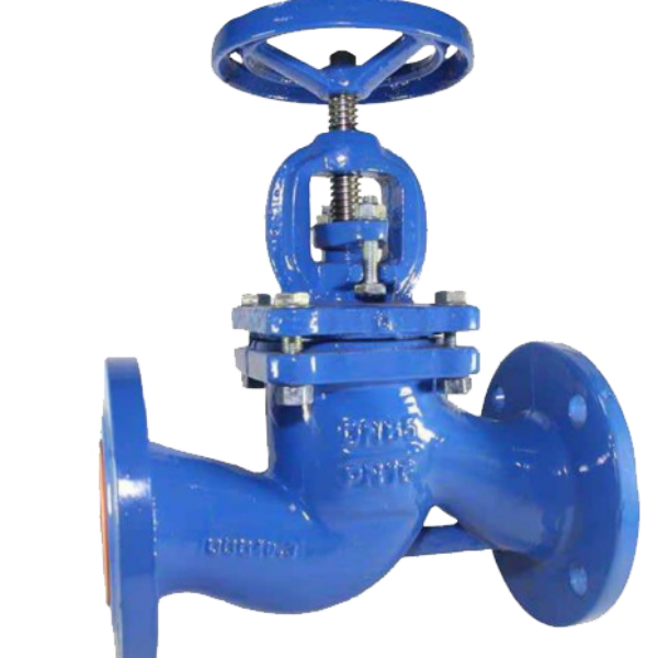 GLOBE VALVE GG25 PN 16